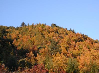 Die Farben von Herbst