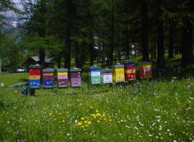 Les ruches