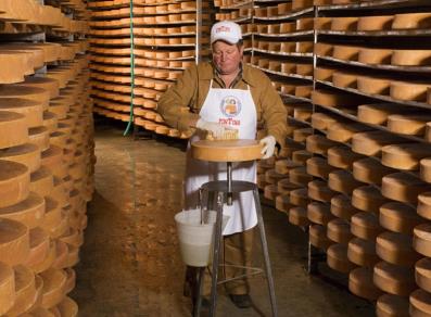 Working in the Fontina maturing room