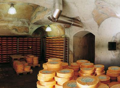 Fontina cheese maturing room