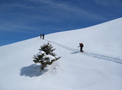 Scialpinismo Pointe De La Pierre - Aymavilles