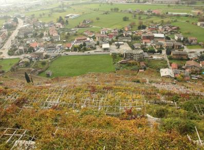 Terraced vineyards of Donnas