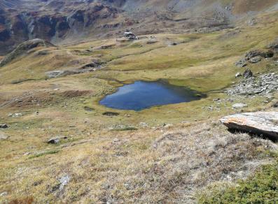 Lac des grenouilles et refuge Mont Fallère