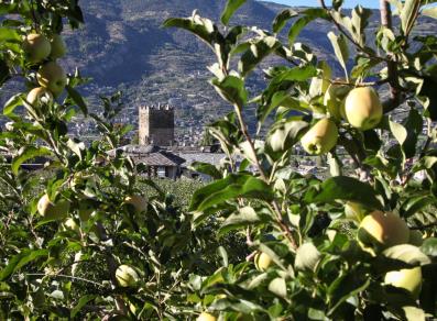 The Tour de Villa among the apple trees