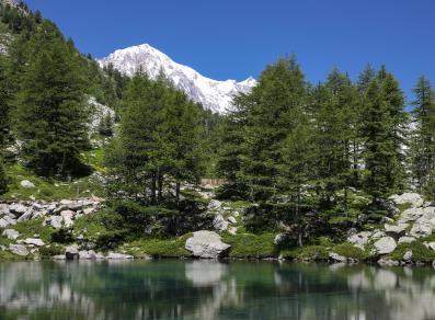 Vista del Mont Blanc desde el lago d'Arpy