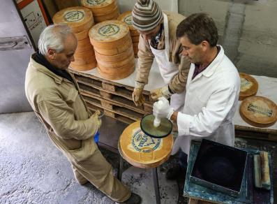 Branding of cheese wheels