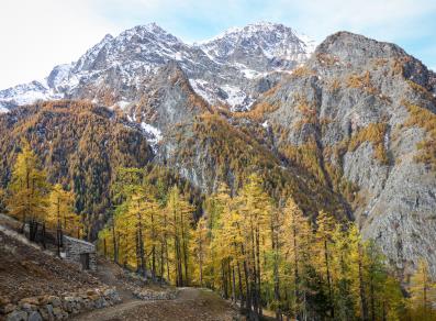 Blick vom Bergwerk Servette - Herbst