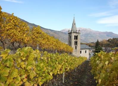Foliage in the vineyards in front of the Church of Saint-Léger