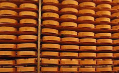 Donde nace el queso fontina