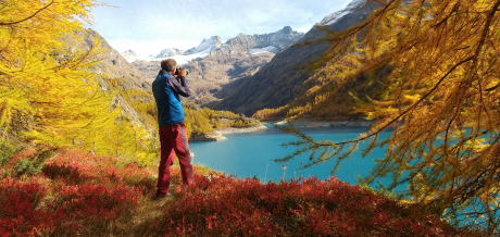 Herbstlaub im Aostatal