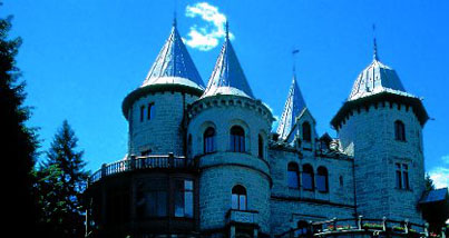 Savoy Castle