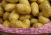 Mountain potatoes
