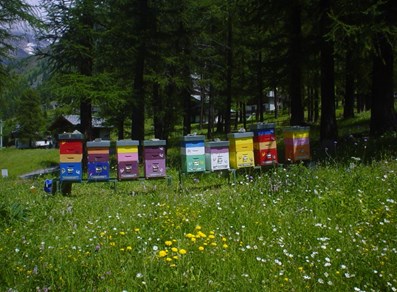 Bienenkörbe