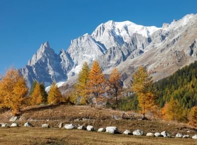 Foliage in Val Ferret - Mont Blanc mountain range