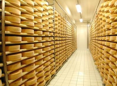 The cheese warehouse