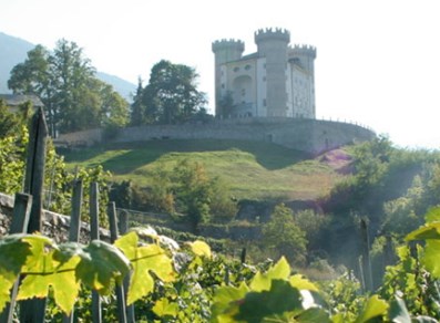 Die Weinberge und das Schloss von Aymavilles