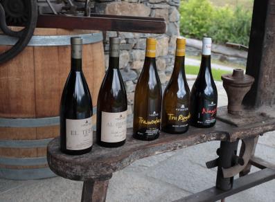 The wines produced by the winery