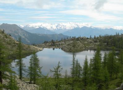 Lago Bianco - Parco del Mont Avic