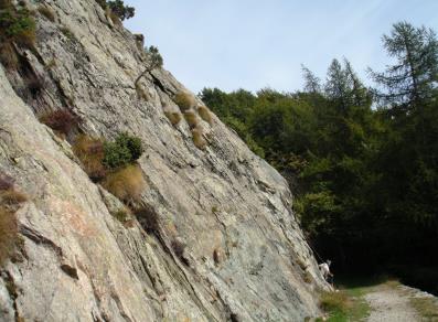Child climbing section