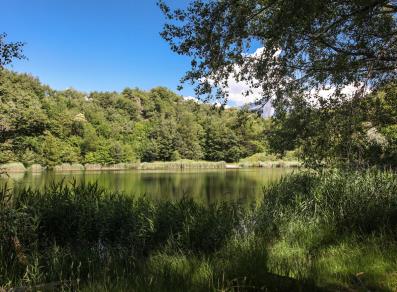 Riserva naturale Lago di Villa a Challand-Saint-Vi