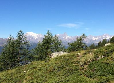 Il Monte Bianco e le Grandes Jorasses