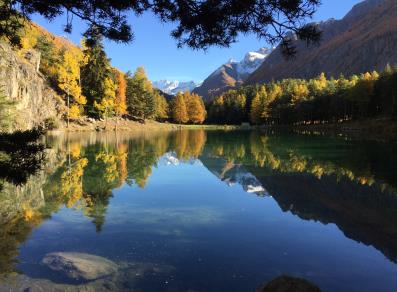 Lexert lake in autumn - Bionaz