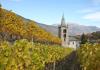 Autumn among the vineyards near Saint-Léger