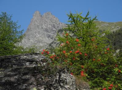 Mont Avic - Champdepraz