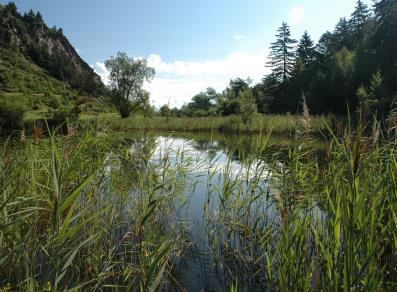 Riserva Naturale Lago di Lolair - Arvier