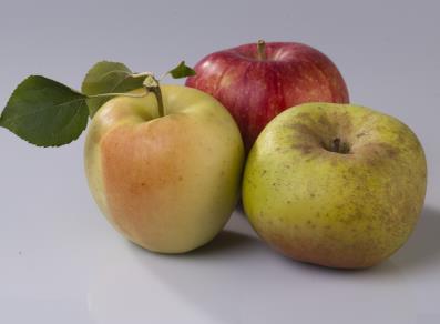 Äpfel aus dem Aostatal (Renetta, Golden Delicious und Starking)
