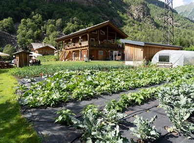 Gemüsegärten