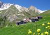 Merdeux alpine pastures