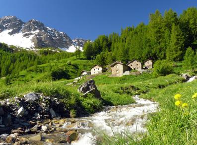 Alpine pastures in the Comba di Merdeux - summer